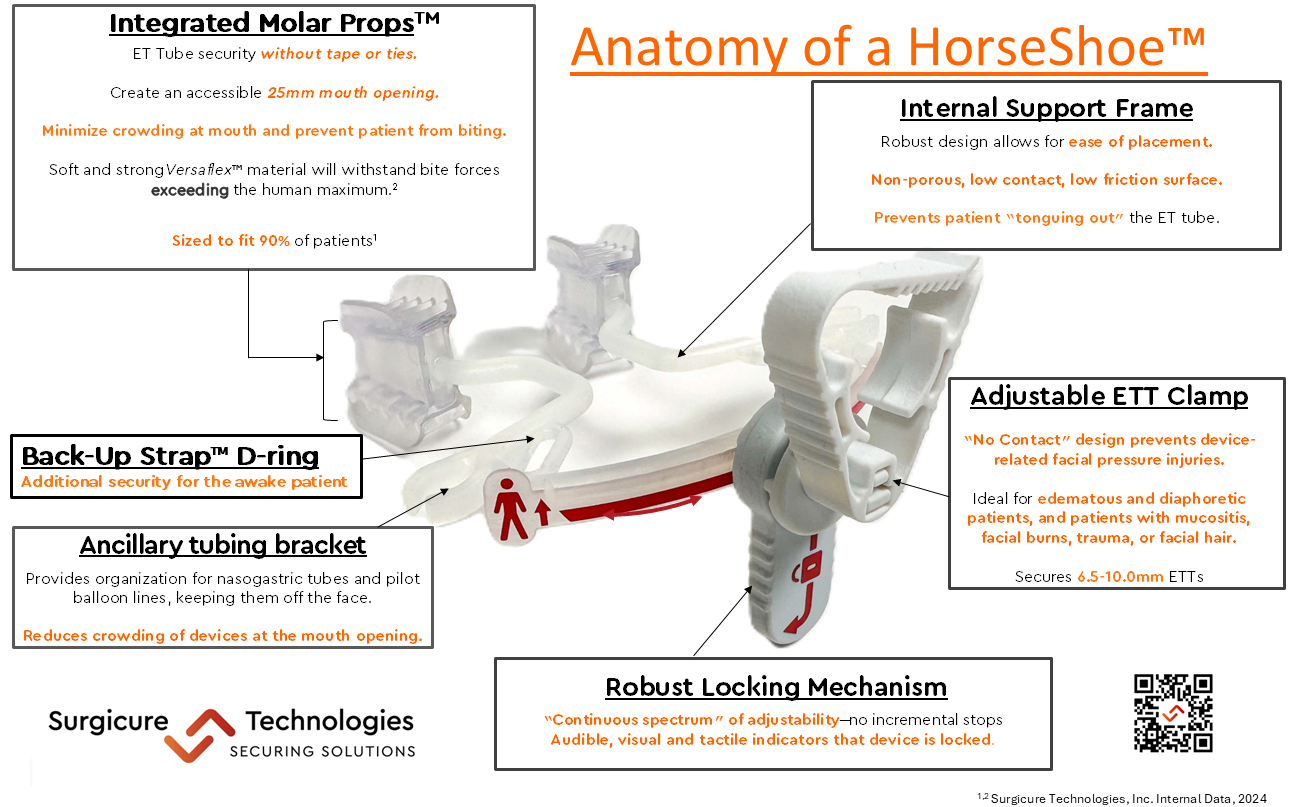 anatomy of a HorseShoe-2